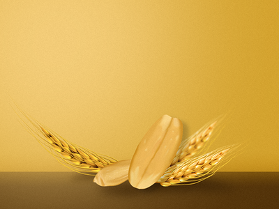 Wheat_Art