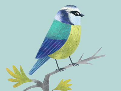 It’s always soothing to draw birds. animal animal art art licensing bird art digital illustration photoshop