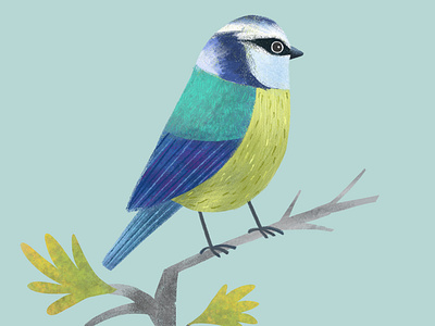 It’s always soothing to draw birds.