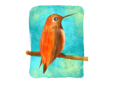 Hummingbird bird art birds digital hummingbird illustration nature procreate wildlife