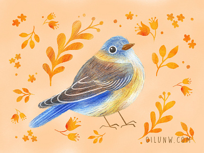 Blue bird bird bird art cute illustration procreate