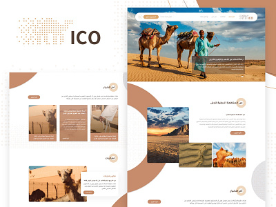 camel website camel design designs illustration sketch slider typography ui ux vector web web design website