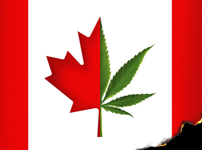 Canada’s Cannabis Bubble Bursts as Legal Market Falters canada cannabis conceptual conceptual illustration design digital editorial editorial illustration flag illustration illustrator marijuana procreate