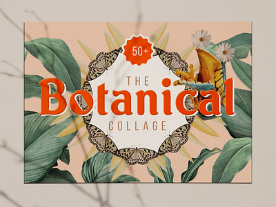 Botanical Collage Art Kit art collage print