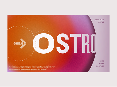 Ostro Gonzales web design