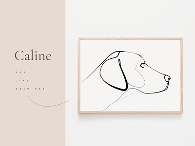 Caline - A collection of dogs illustration