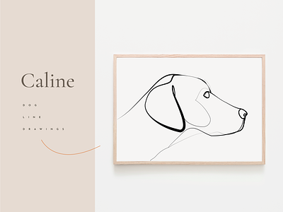 Caline - A collection of dogs