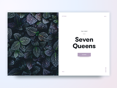 Seven Queens card fauna flora flower indigo layout leaf magazine magenta mauve minimal simple