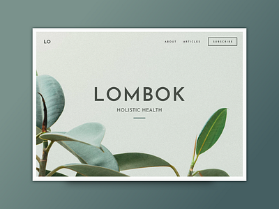 Lombok Website Design