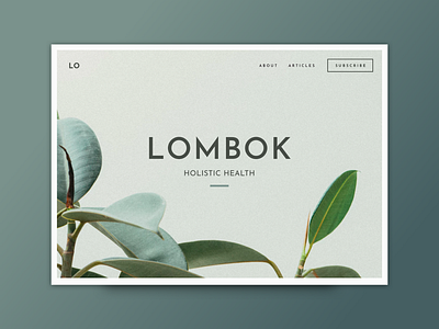 Lombok Website Design blog template blog theme blogging theme creative market delightful artifacts splash travel blog website website concept