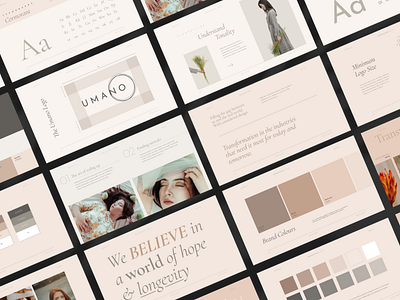 Elegant Brand Guidelines brand board