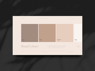 Brand Colours brand board standards web design