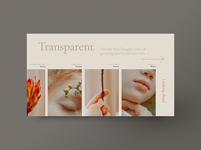 Transparent branding web design