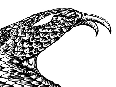 Rattlesnake dore engraved gustave micron snake wannabe woodcut