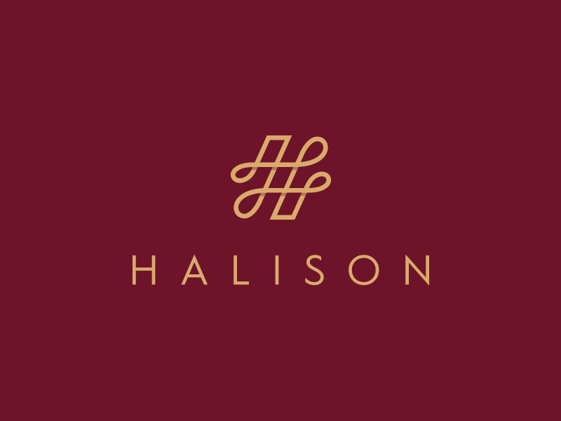 Halison Jewelry Logo Design By Aditya Logo Designer On Dribbble