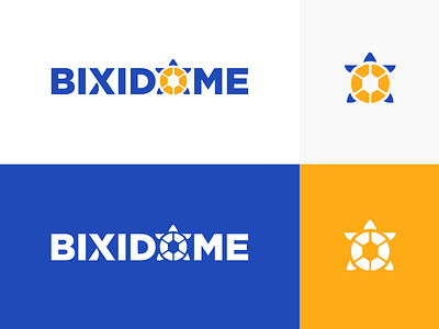 Bixidome Logo Design