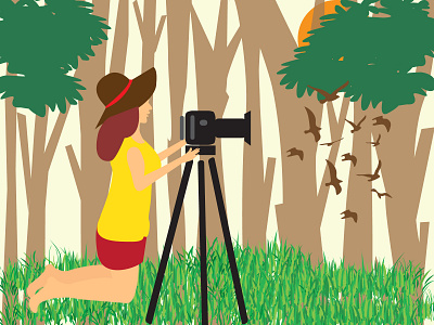 Photography background birds camera design forest grass illustration trees vector women