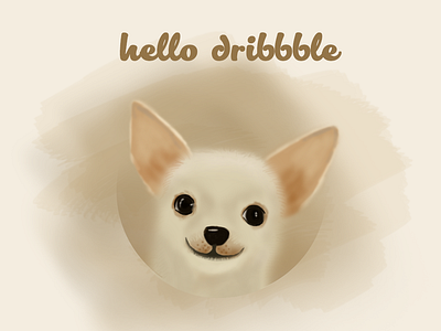 hello dribbble 插图 设计