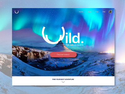 Wild - Landing page - Slide 1 003 daily ui