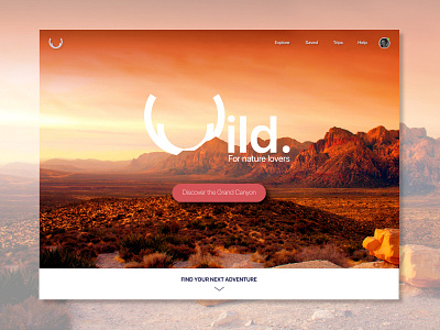 Wild - Landing page - Slide 2 003 daily ui