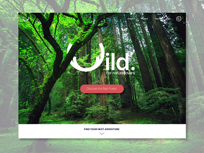 Wild - Landing page - Slide 3 003 daily ui