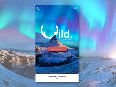 Wild - Landing Page 003 daily ui