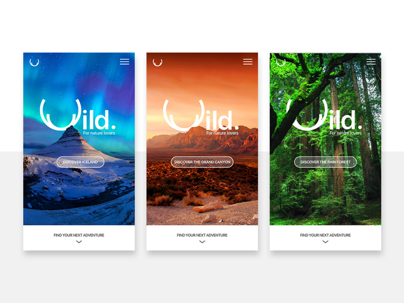 Wild App by Doriane Le Rest on Dribbble