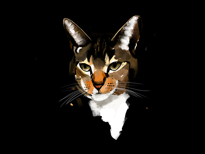 Portrait of a Cat art cat design digital illustration digital painting illustration potrait procreate