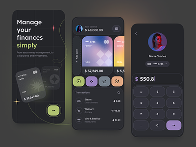 Mobile Banking App Concept