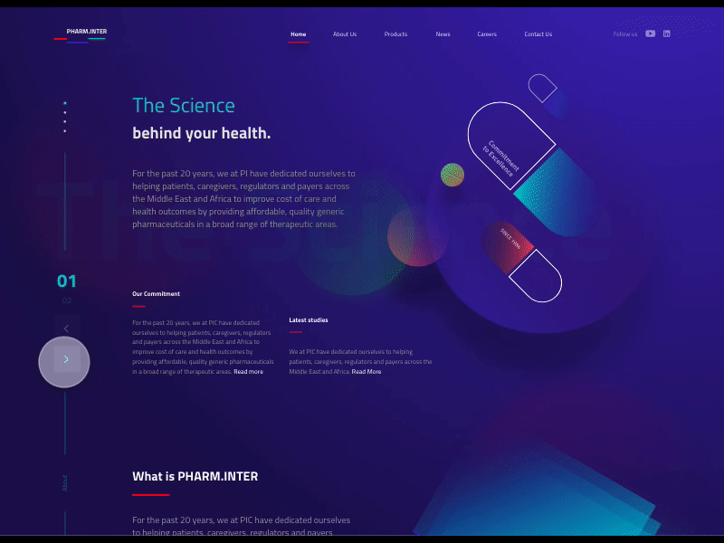 website landing page