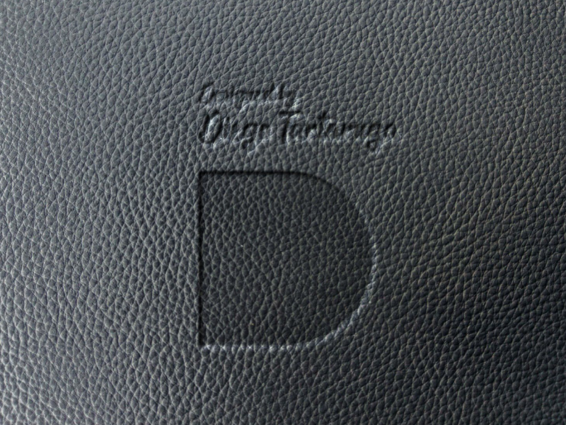 Diego Tartaruga Logo on leather by Diego Núñez on Dribbble