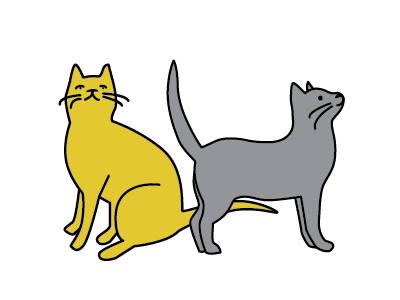 Cat studies (Max and Jack) cats illustration