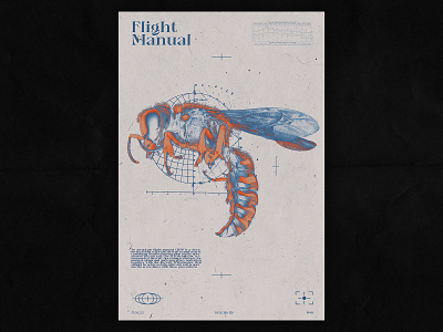 Flight Manual / 046 design graphic design photoshop poster poster a day poster art poster design print texture type typography