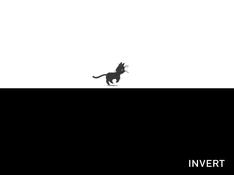 Scared To Invert (#1) animation black cat gif invert kitten matte rotation running scared to invert squares white