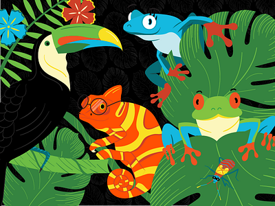 Rainforest Characters Illustrations aphid chameleon frog illustration leaf rainbow rainforest toucan tree tropical