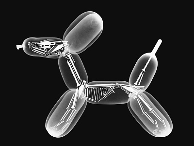 Balloon Dog Skeleton by Jason McDade on Dribbble