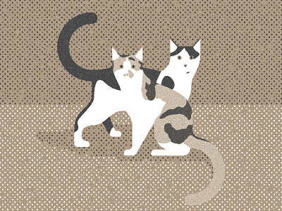 Charlie And Fitz cats geometric illustration kittens kitties