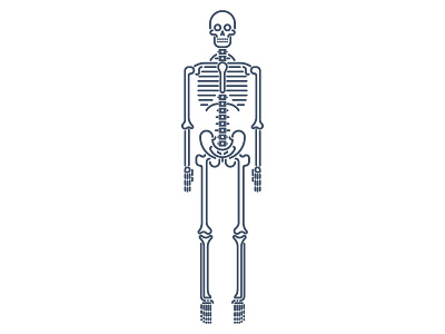Skeleton bones illustration monowidth skeleton skull vector