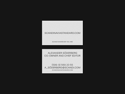 Scandinavia Standard Identity branding businesscard card design graphicdesign identity minimal typography