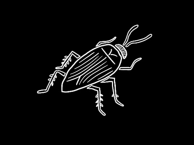 Creepy Critter cockroach illustration minimal shaketember