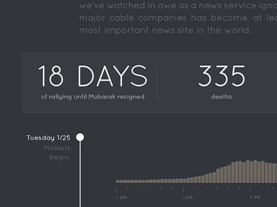 Egyptian Revolution Infographic