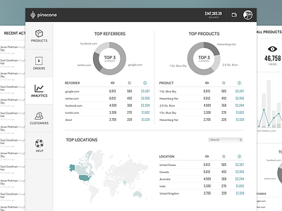 Pinecone Wireframes analytics dashboard data layout process progress sketch stats ui ux visualization wireframes