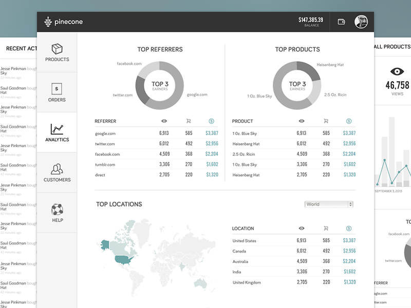Pinecone Wireframes wireframes process progress ui ux layout stats data analytics visualization dashboard sketch