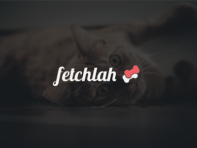 Fetchlah - Logo proposal animal cat dog fetch identity logo pet proposal startup