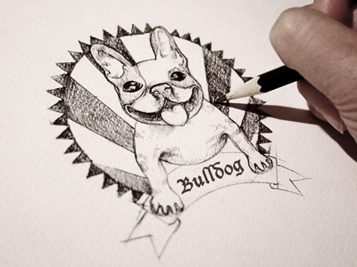 French Bulldog Sketch by Cindy Wang on Dribbble