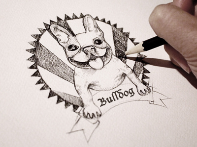 French Bulldog Sketch