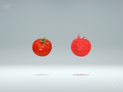 190528_西红柿&番茄 tomato