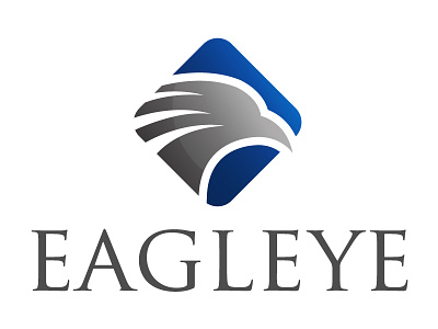 Eagle Eye Logo eagle fly eagle logo template media solution real estate royal eagle security company shipping software technology tech service urgent transport web developer wings logotype
