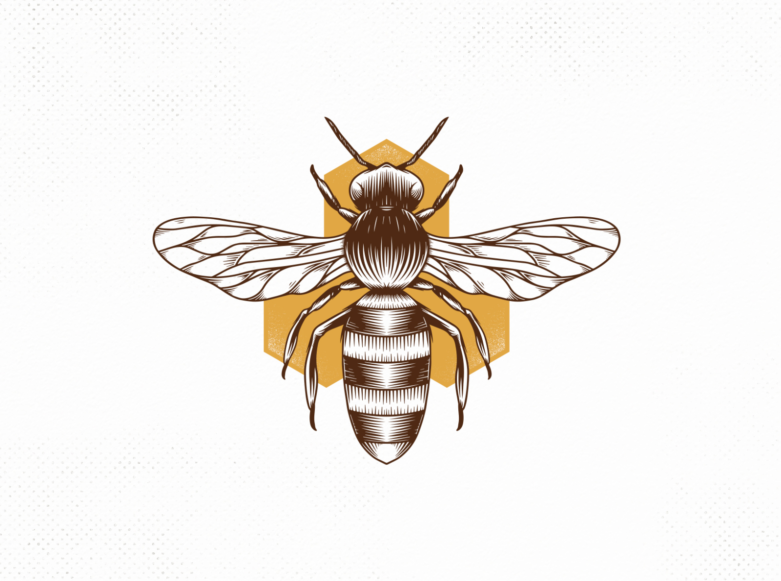 honey bee vector