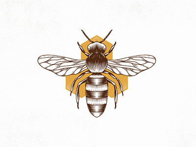 Honey Bee Vintage Vector Logo Design